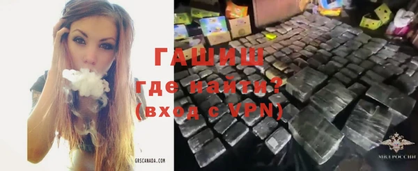 сатива Гусев