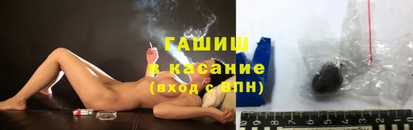 сатива Гусев