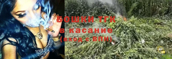 сатива Гусев
