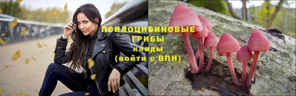 гидропоника Медвежьегорск